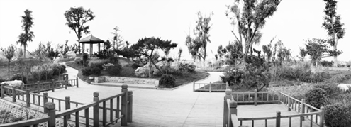 黄河湿地公园